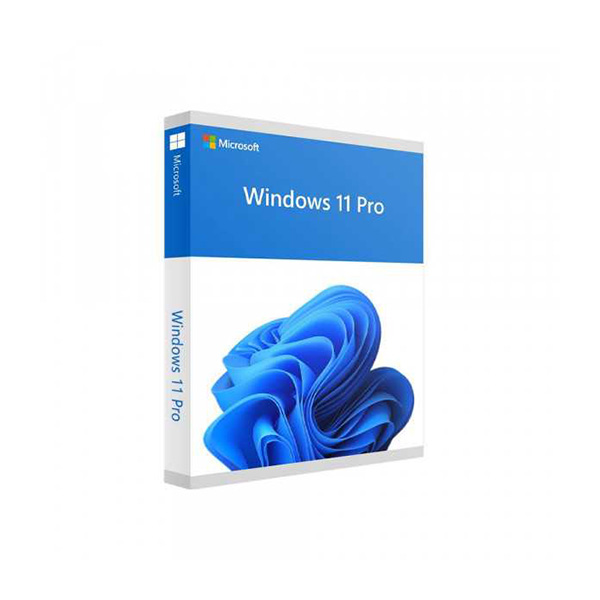 Phần mềm Microsoft Win Pro 11 64bit Eng USB Full pack